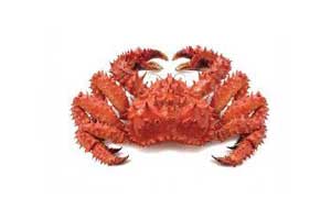 Crabe Royal de 110g Contenu